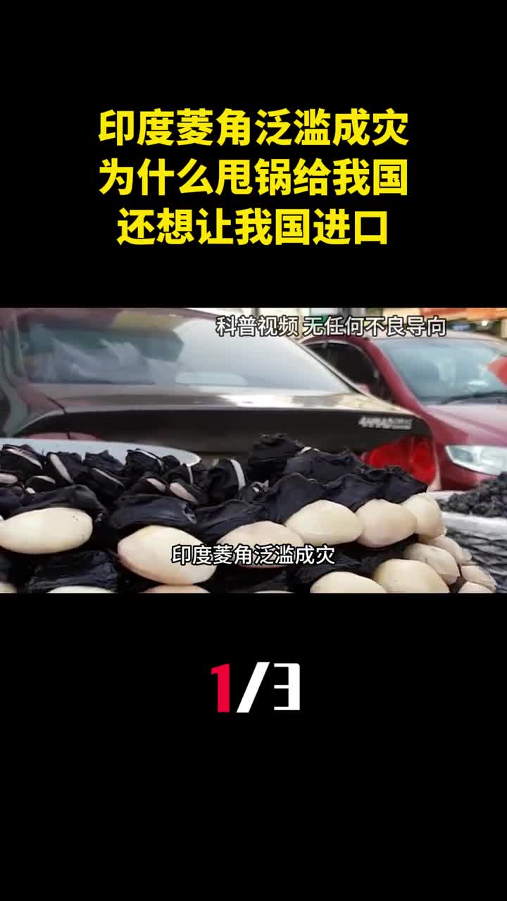 印度菱角泛滥成灾为什么甩锅给我国还想让我国进口1