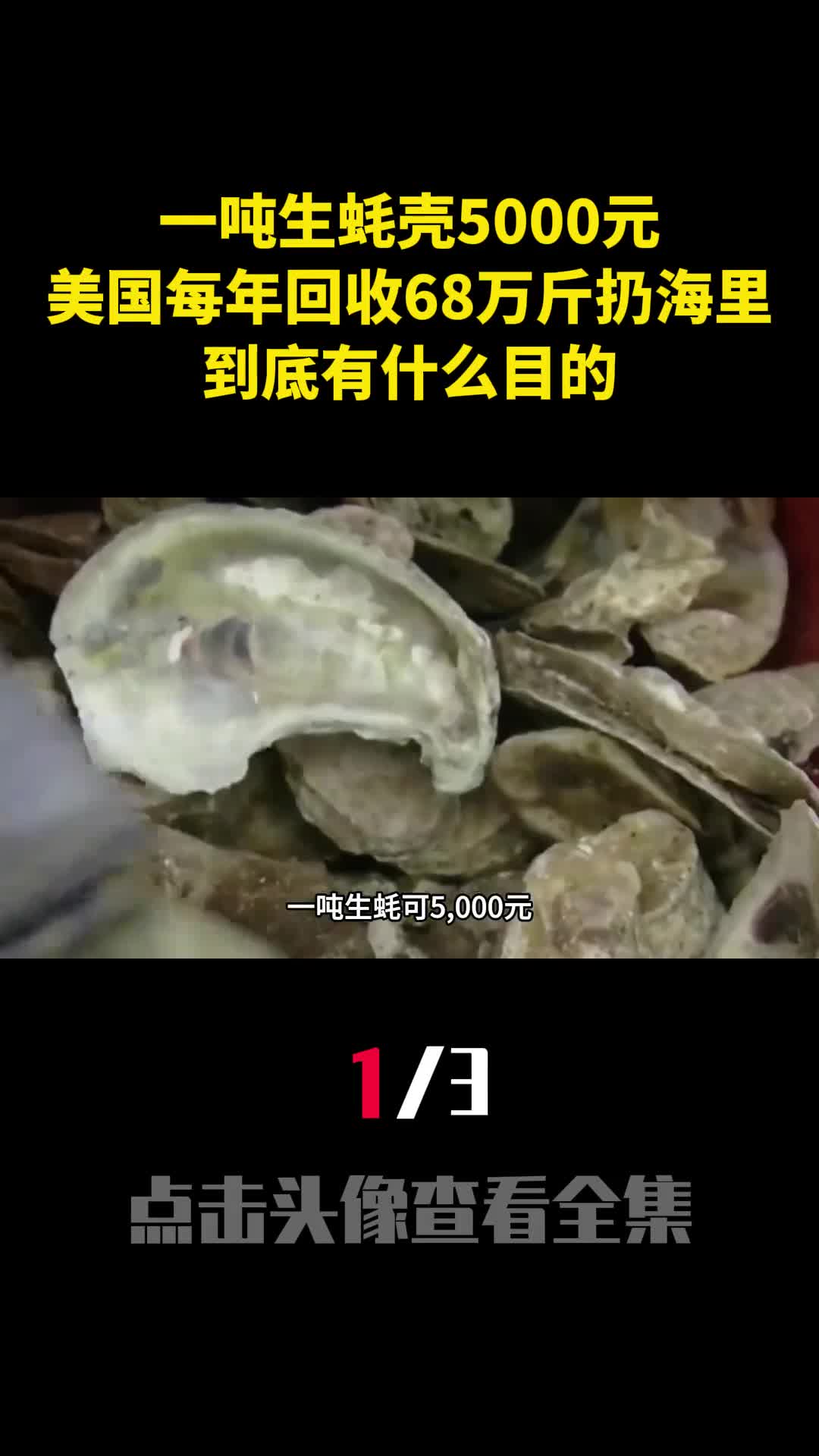 一吨生蚝壳5000元美国每年回收68万斤扔海里到底有什么目的1