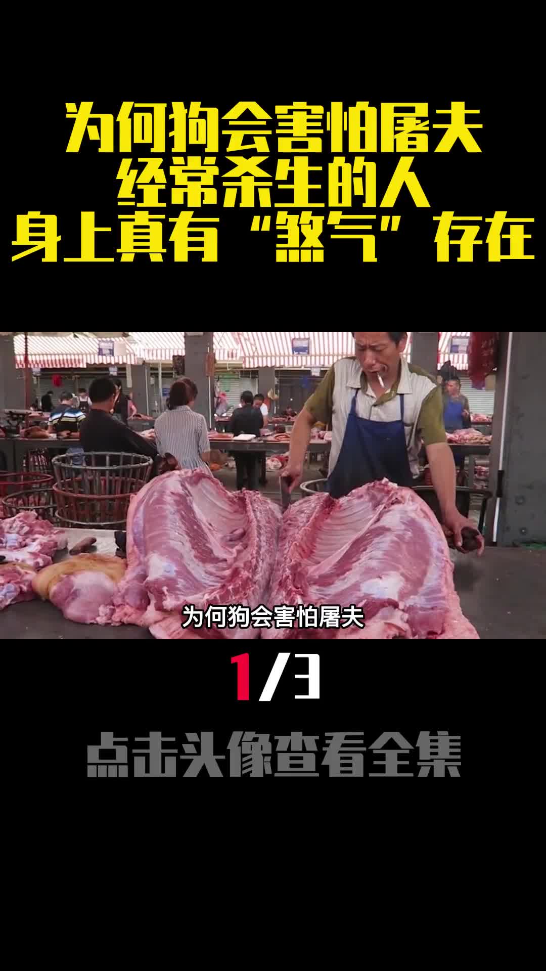 为何狗会害怕屠夫经常杀生的人身上真有煞气存在1
