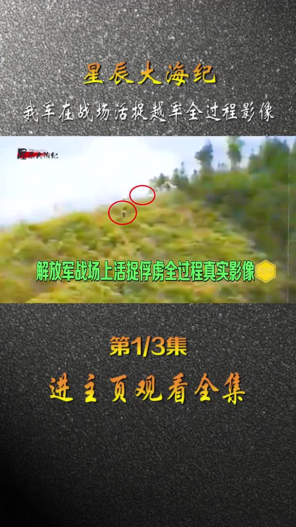我军活捉越军全过程影像致敬英雄