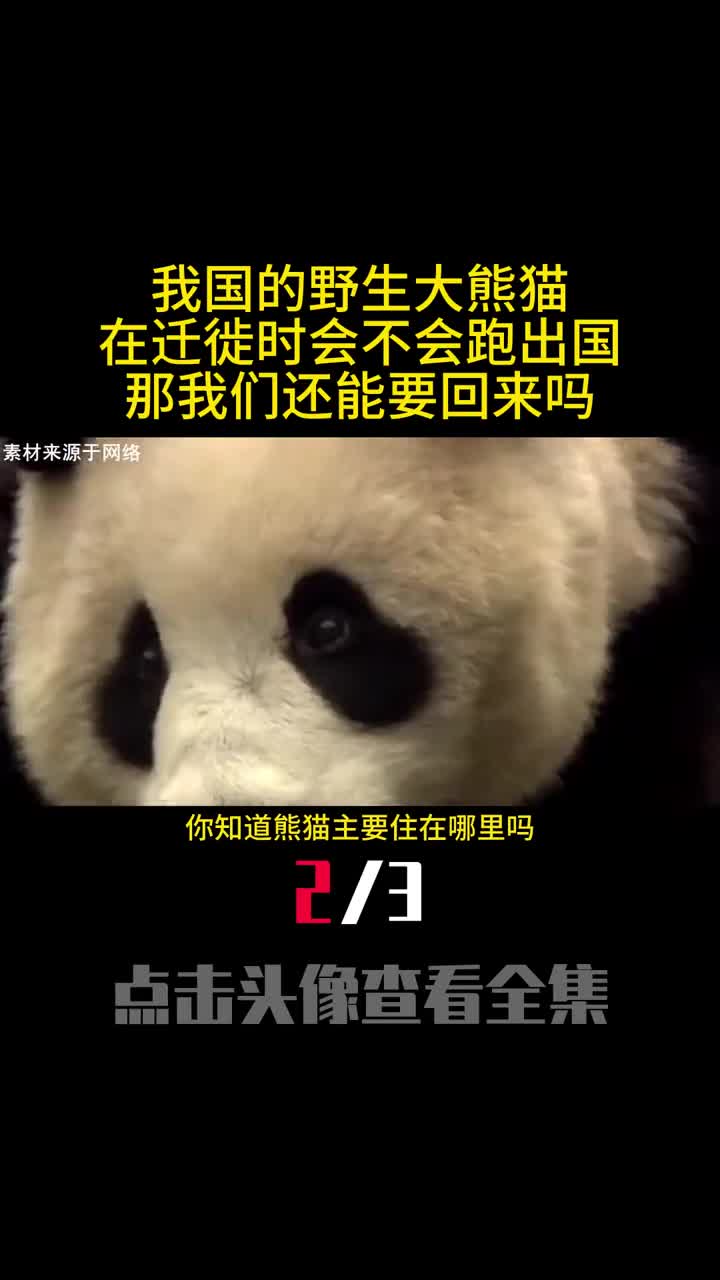 我国的野生大熊猫在迁徙时会不会跑出国那我们还能要回来吗2