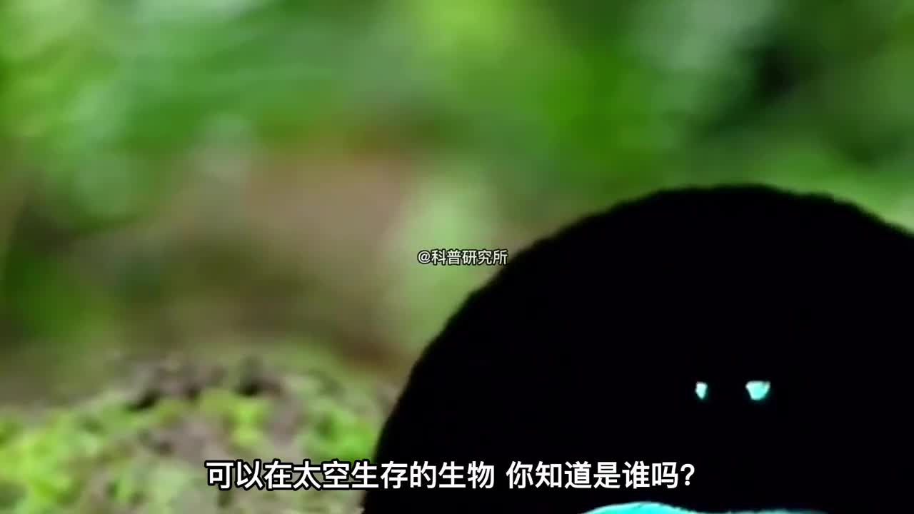 真实存在的十大奇怪生物最后一个无法理解二