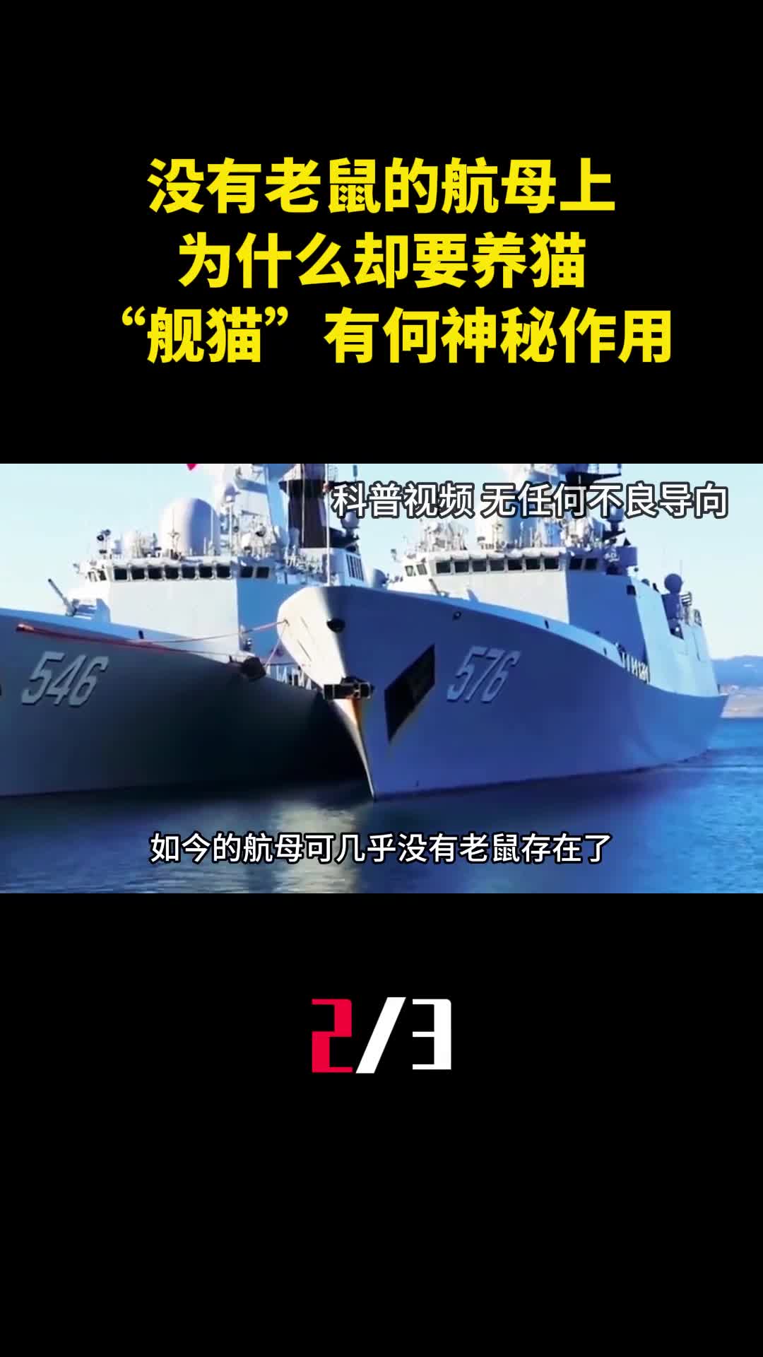 没有老鼠的航母上为什么却要养猫舰猫有何神秘作用2