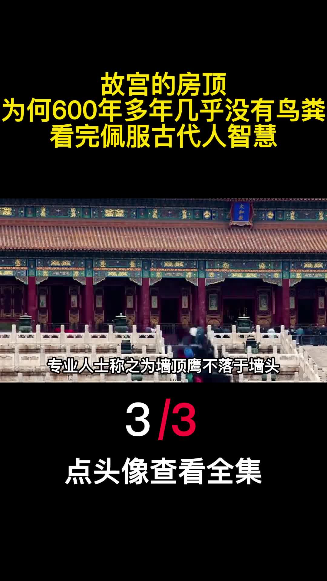故宫的房顶为何600年多年几乎没有鸟粪看完佩服古代人智慧3