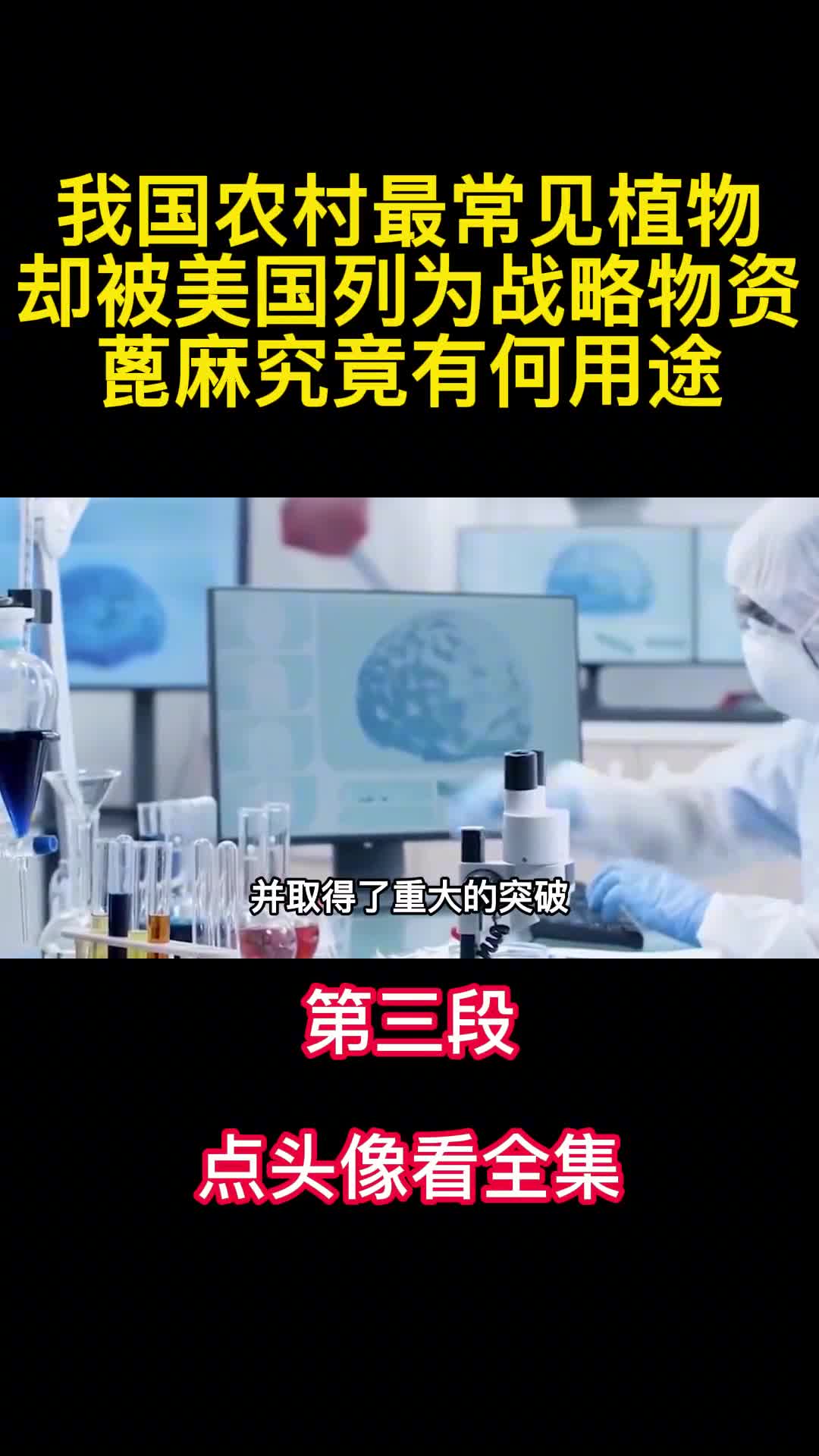 我国农村最常见植物却被美国列为战略物资蓖麻究竟有何用途3