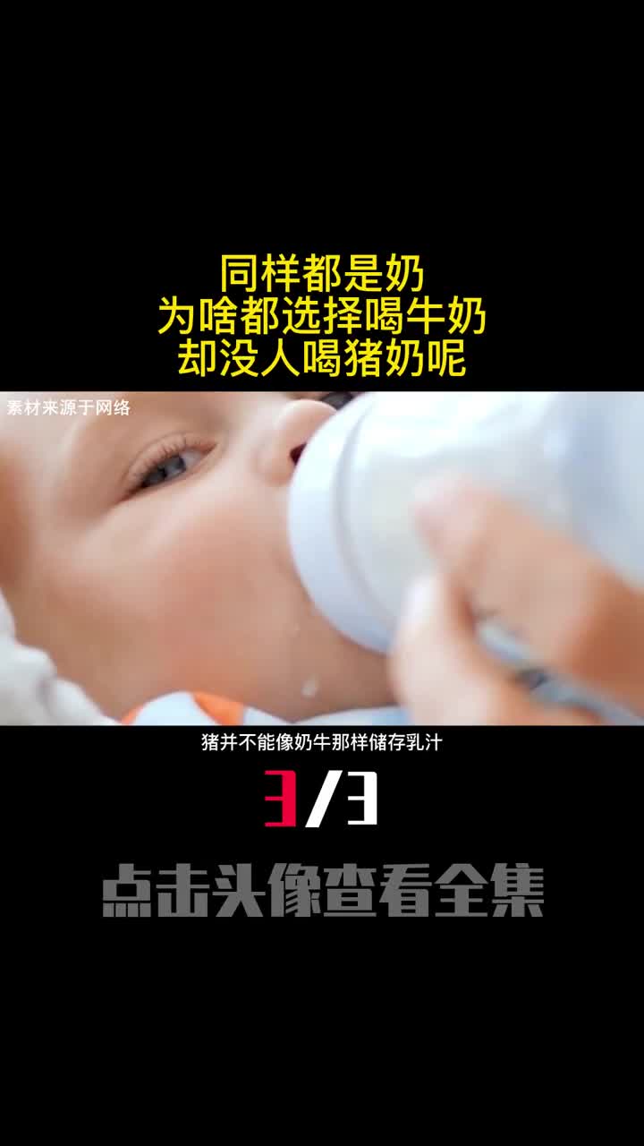 同样都是奶为啥都选择喝牛奶却没人喝猪奶呢3