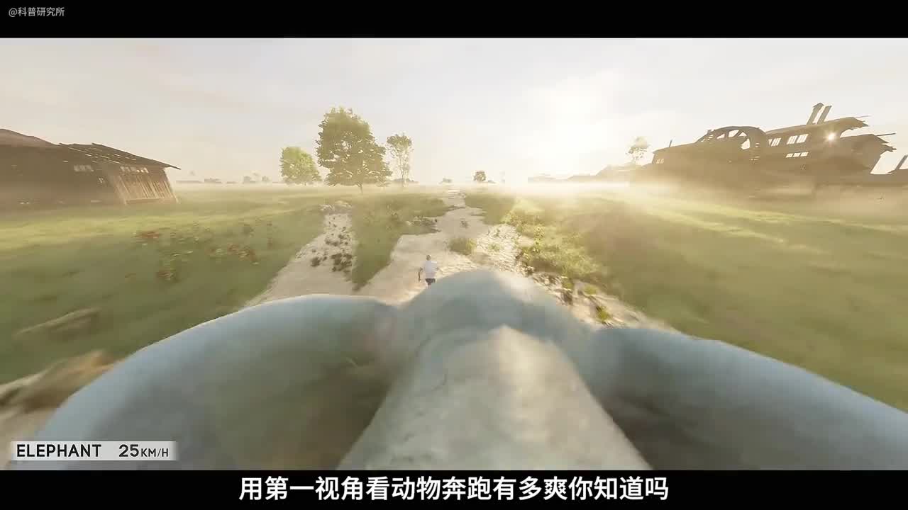 第一视角看动物奔跑这速度你受得了吗
