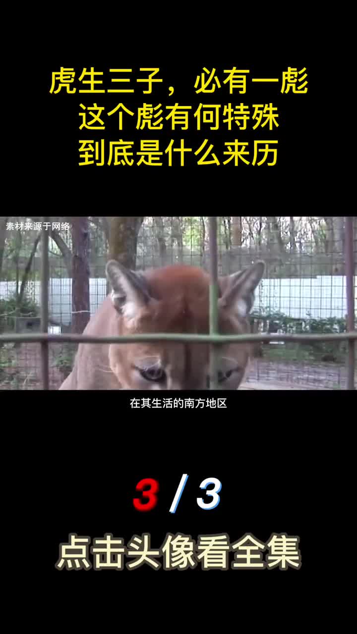 古人说虎生三子必有一彪这个彪有何特殊到底是什么来历