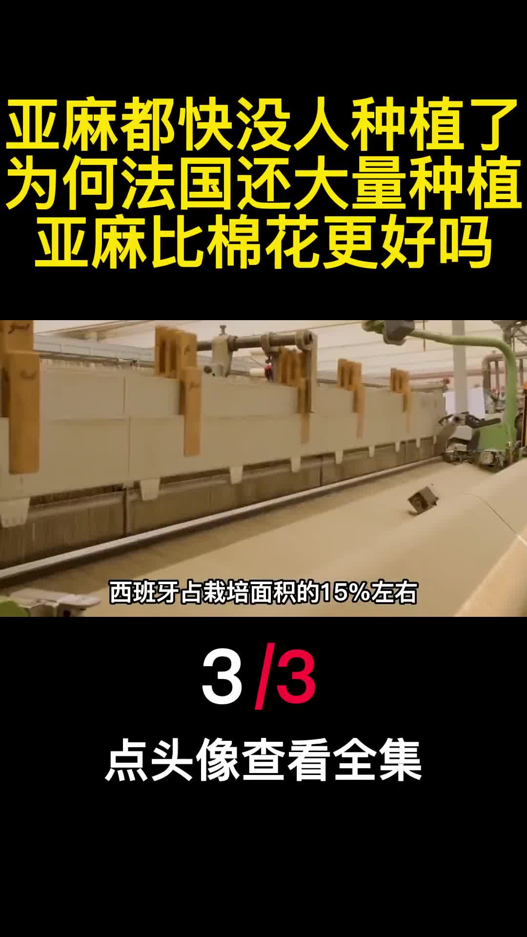 亚麻都快没人种植了为何法国还大量种植亚麻比棉花更好吗3