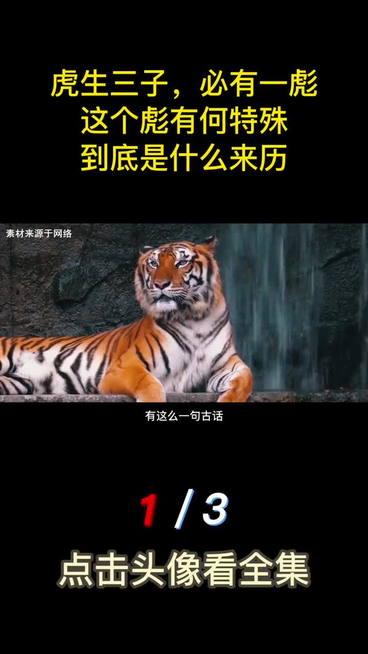 古人说虎生三子必有一彪这个彪有何特殊到底是什么来历