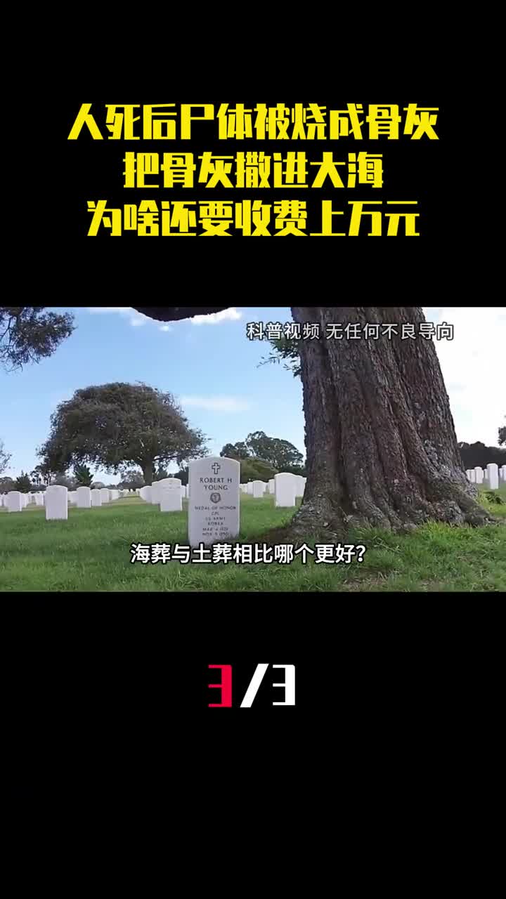 人死后尸体被烧成骨灰把骨灰撒进大海为啥还要收费上万元3