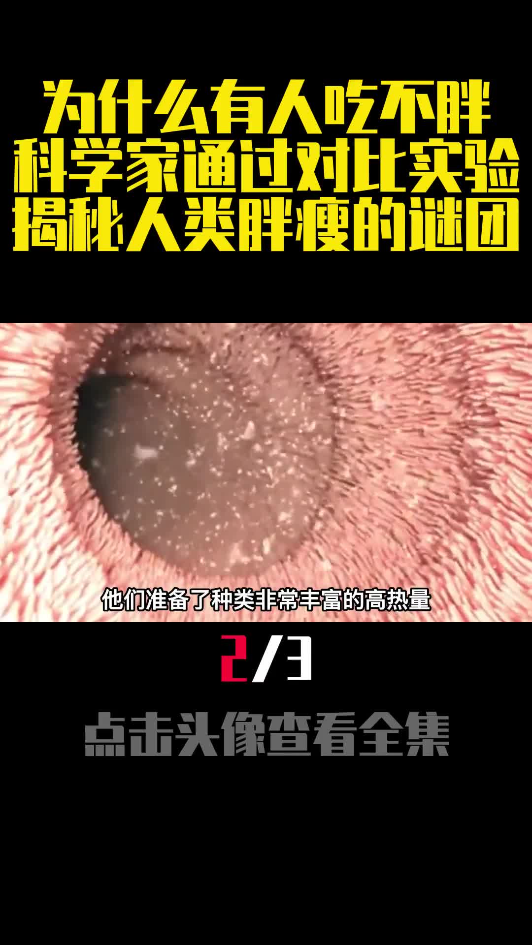 为什么有人吃不胖科学家通过对比实验揭秘人类胖瘦的谜团2