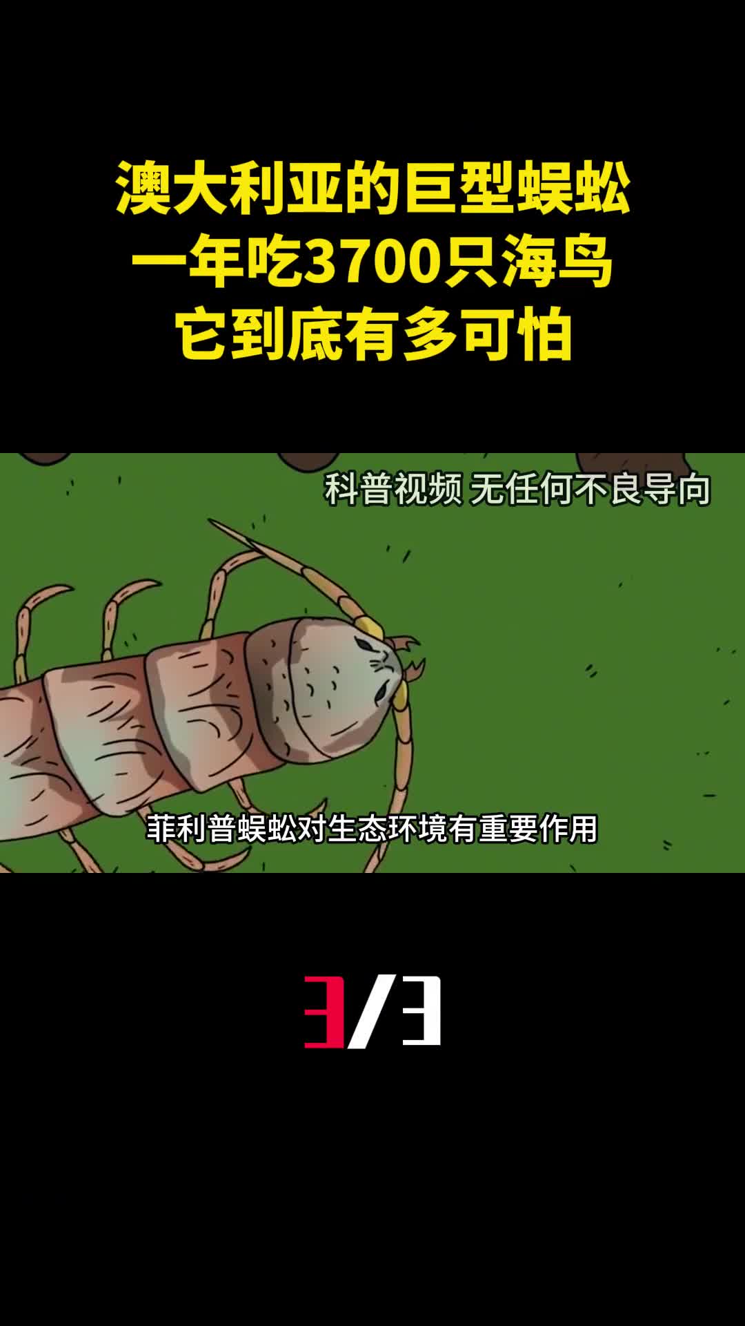 澳大利亚的巨型蜈蚣一年吃3700只海鸟它到底有多可怕3