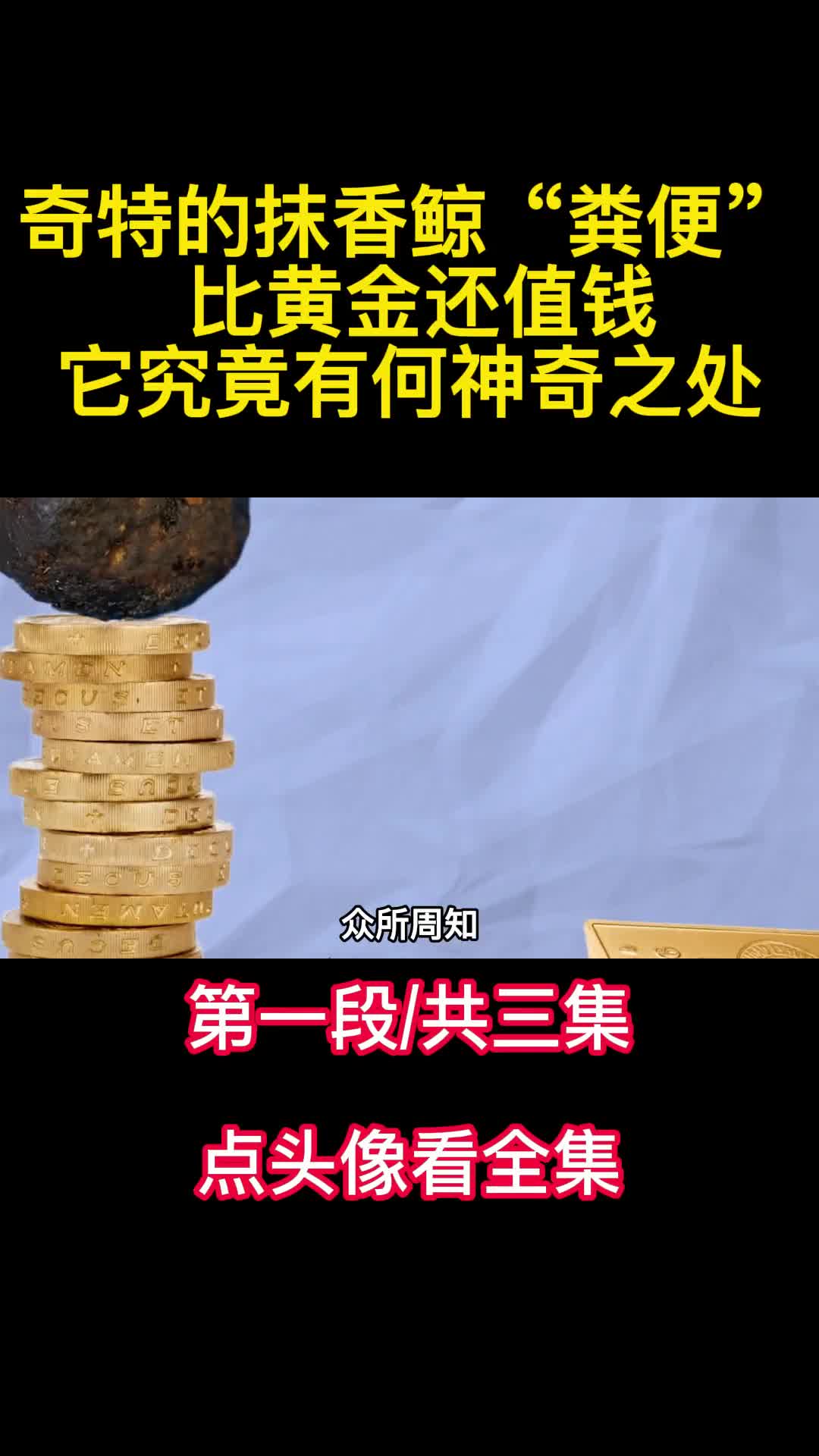 奇特的抹香鲸粪便比黄金还值钱它究竟有何神奇之处1