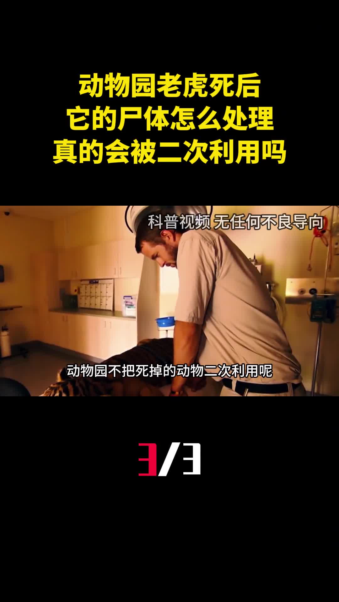 动物园老虎死后它的尸体怎么处理真的会被二次利用吗3