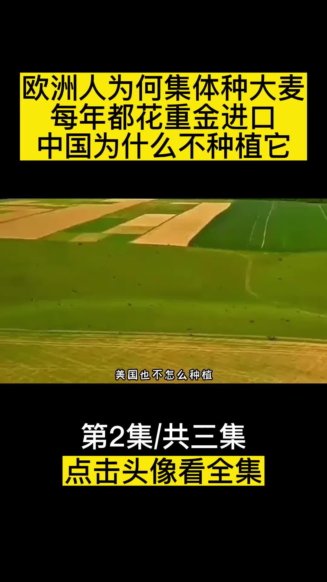 欧洲人为何集体种大麦中国每年都花重金进口为什么不种植呢