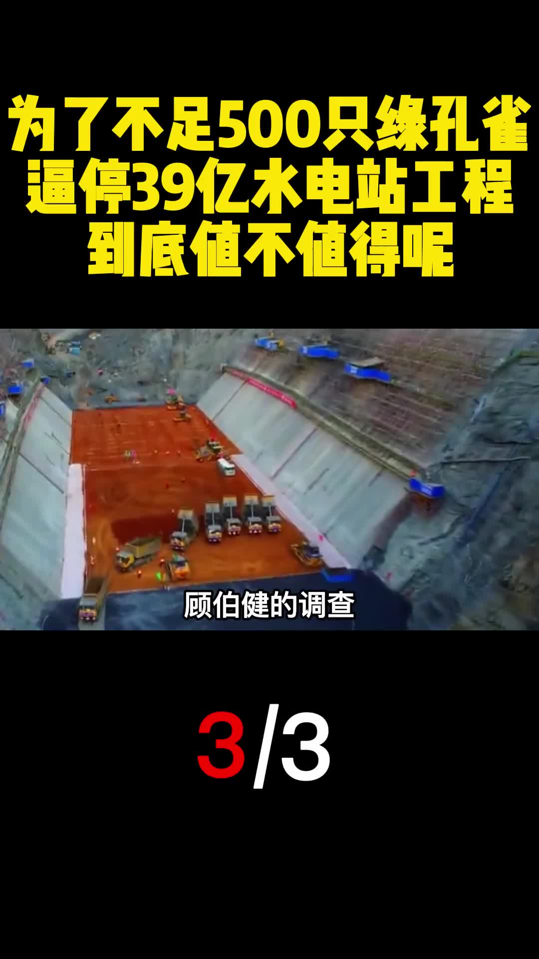 为了不足500只绿孔雀逼停39亿水电站工程到底值不值得呢3