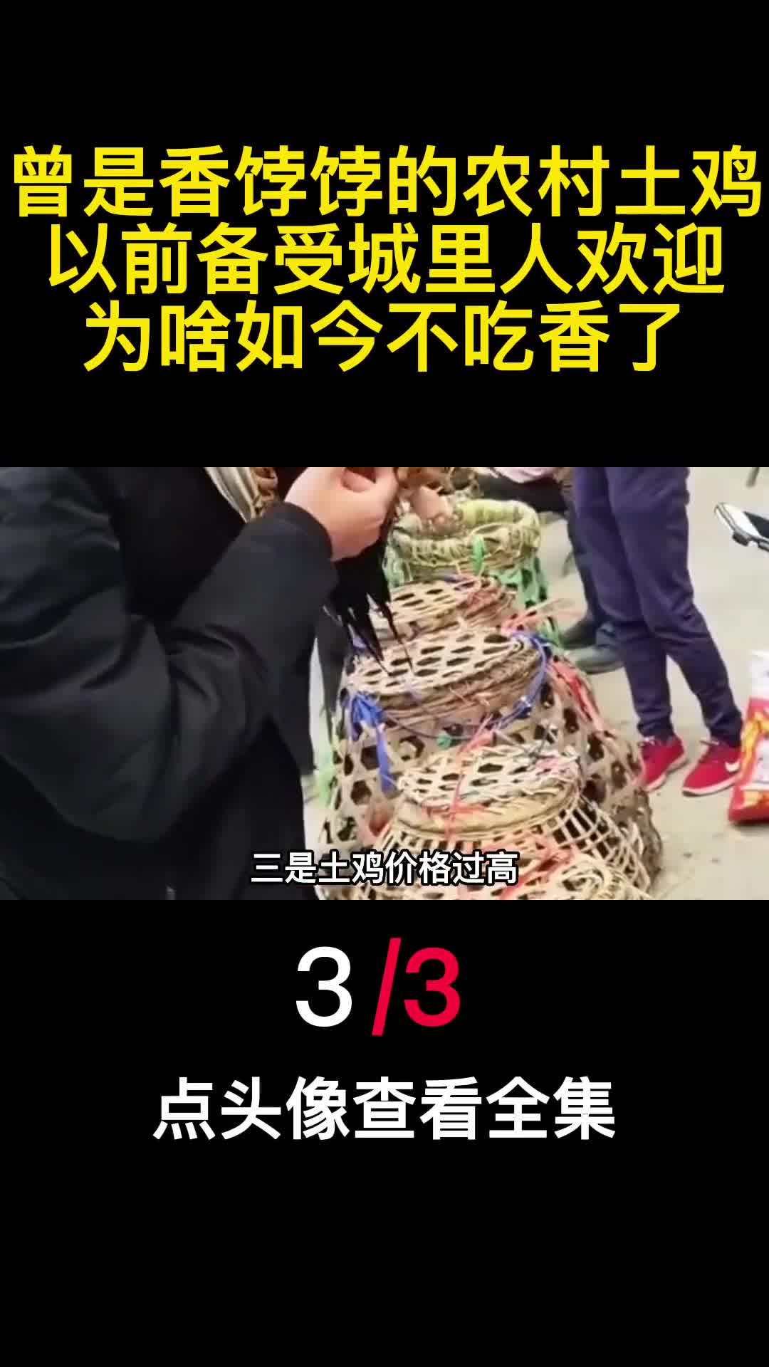 曾是香饽饽的农村土鸡以前备受城里人欢迎为啥如今不吃香了3