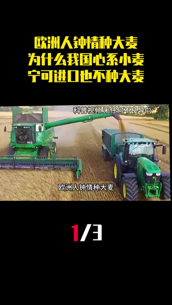 欧洲人钟情种大麦为什么我国心系小麦宁可进口也不种大麦1