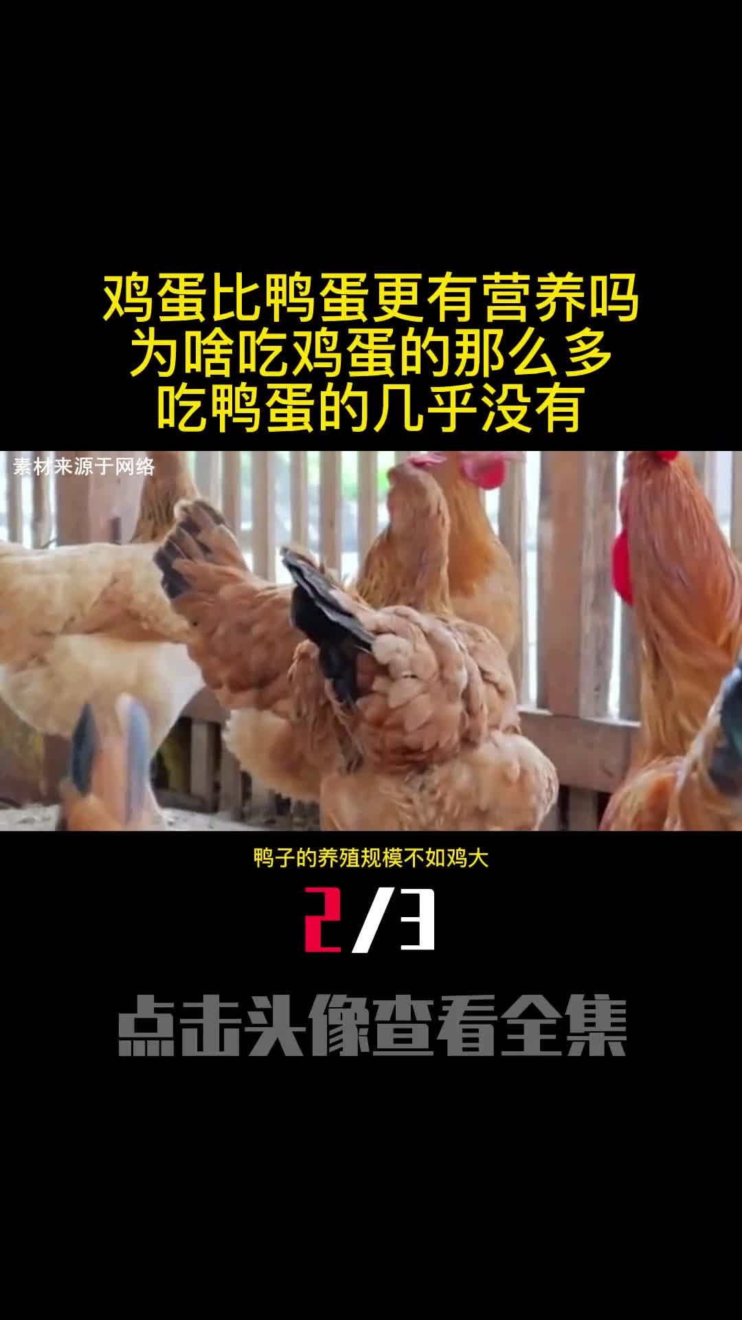 鸡蛋比鸭蛋更有营养吗为啥吃鸡蛋的那么多吃鸭蛋的几乎没有2