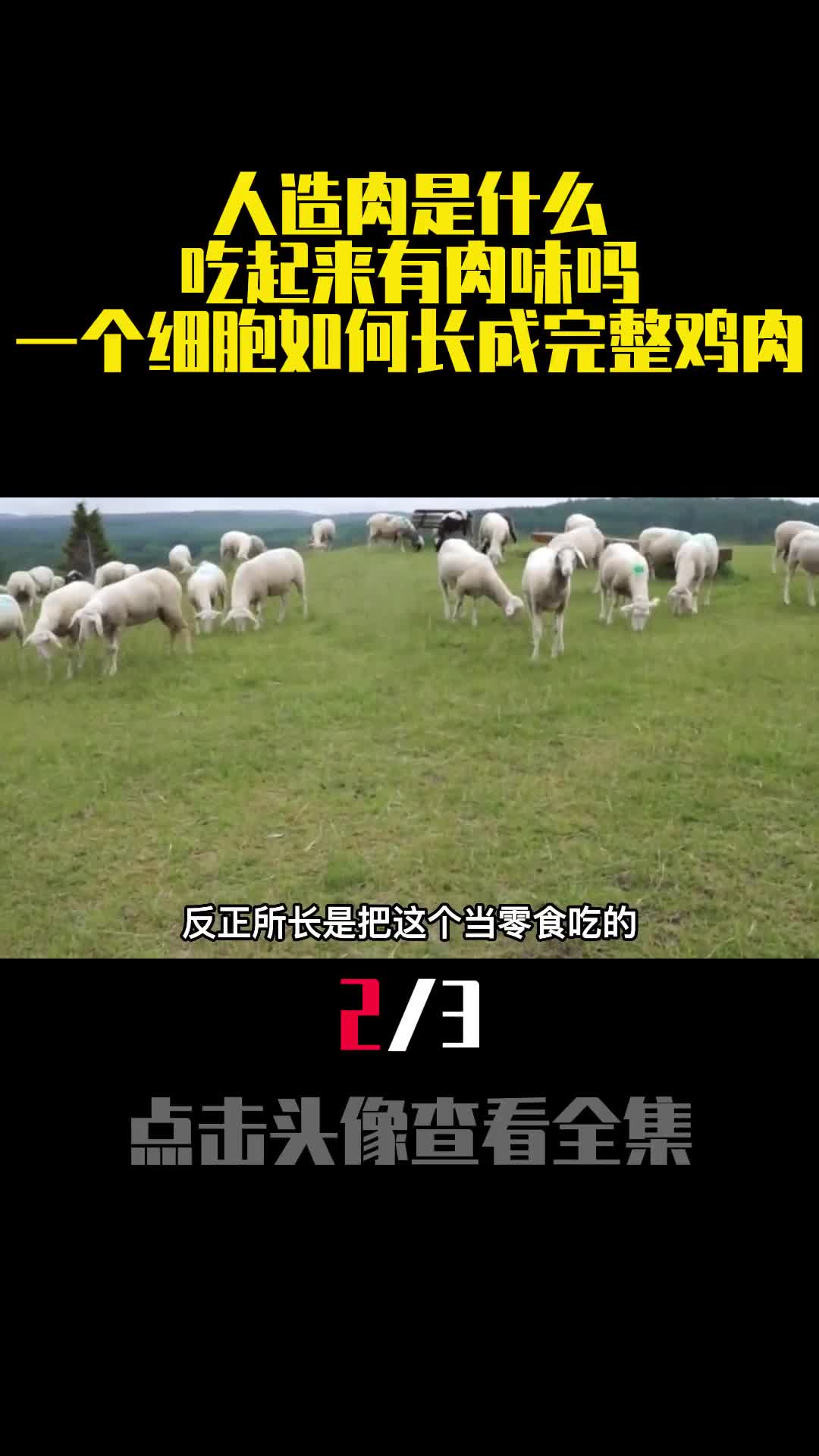 人造肉是什么吃起来有肉味吗一个细胞如何长成完整鸡肉2