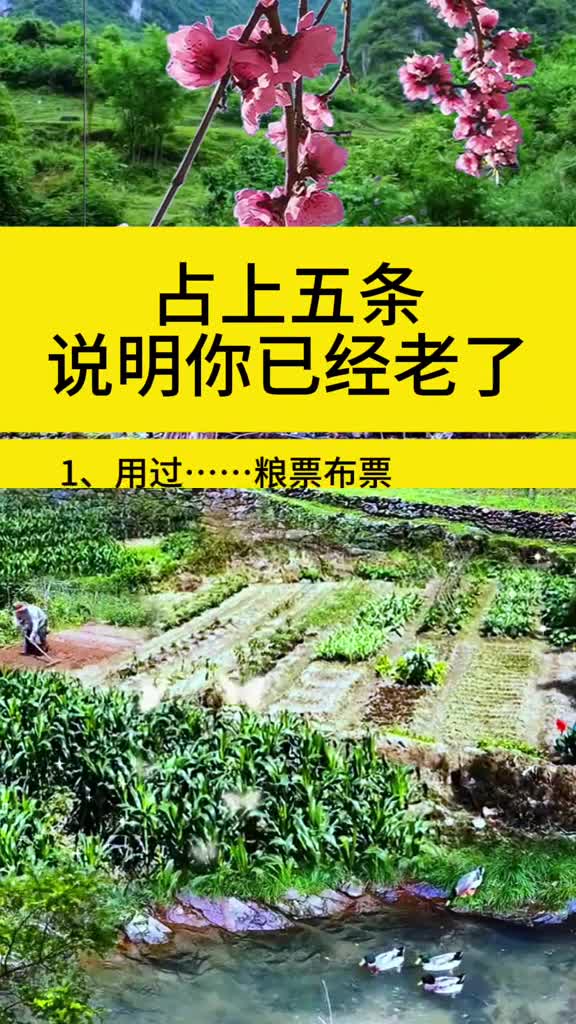 占了五条说明你已经老了