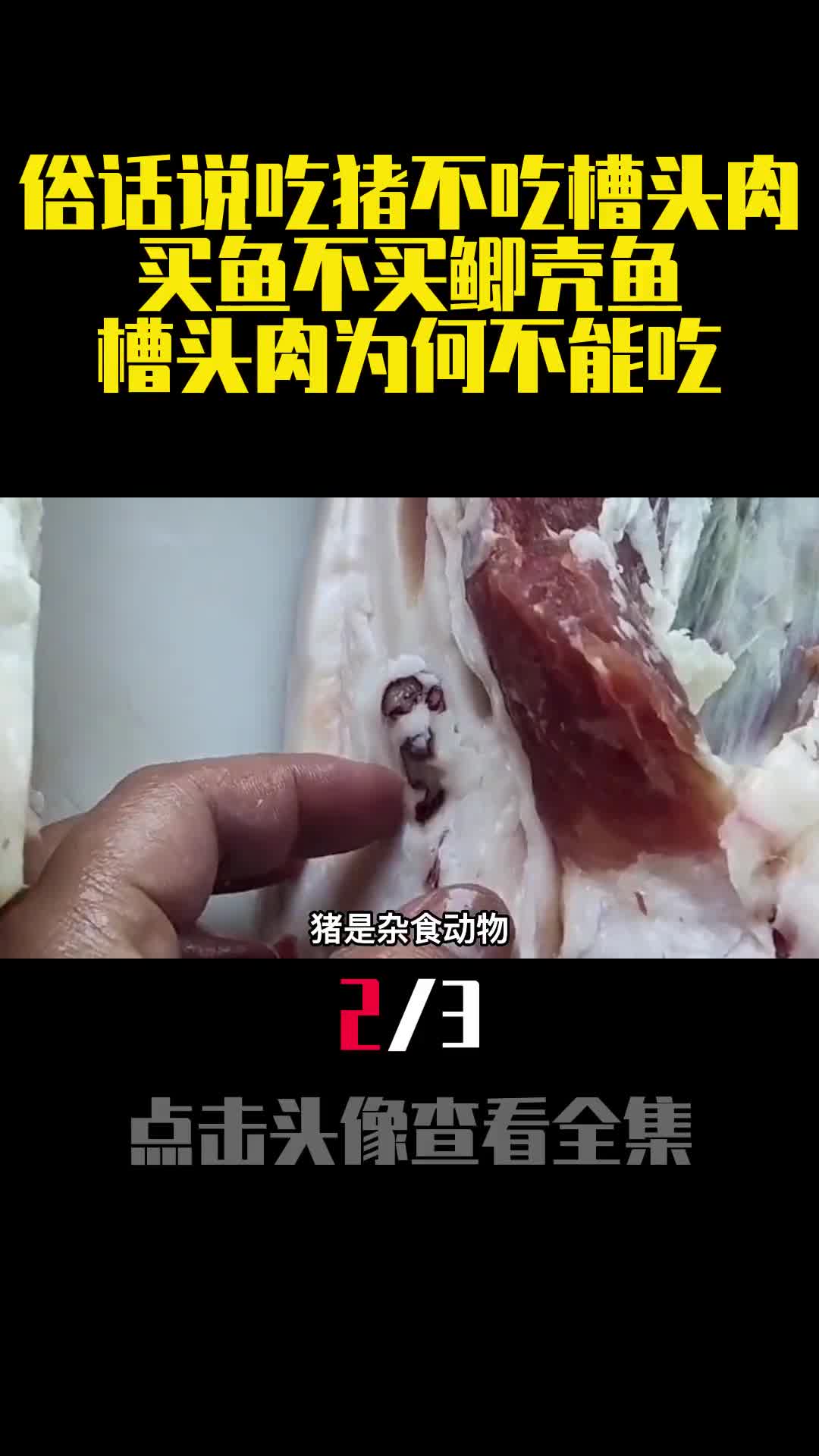 俗话说吃猪不吃槽头肉买鱼不买鲫壳鱼槽头肉为何不能吃2