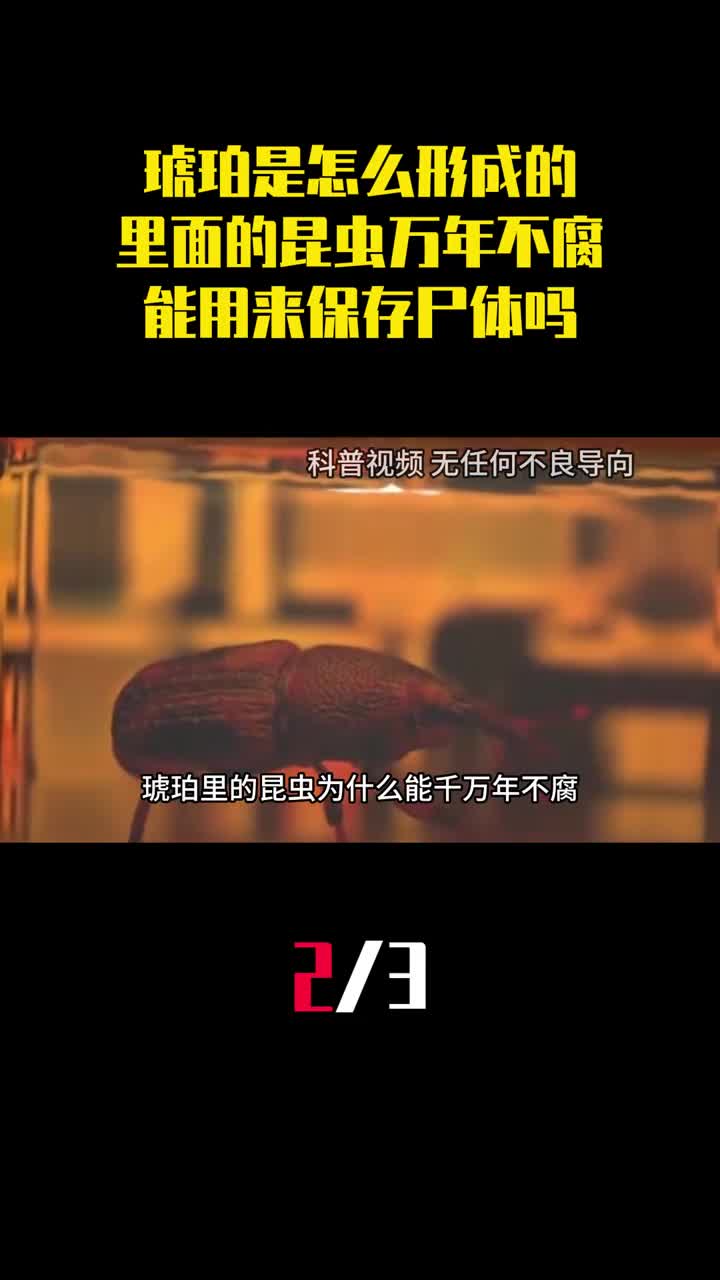 琥珀是怎么形成的里面的昆虫万年不腐能用来保存尸体吗2