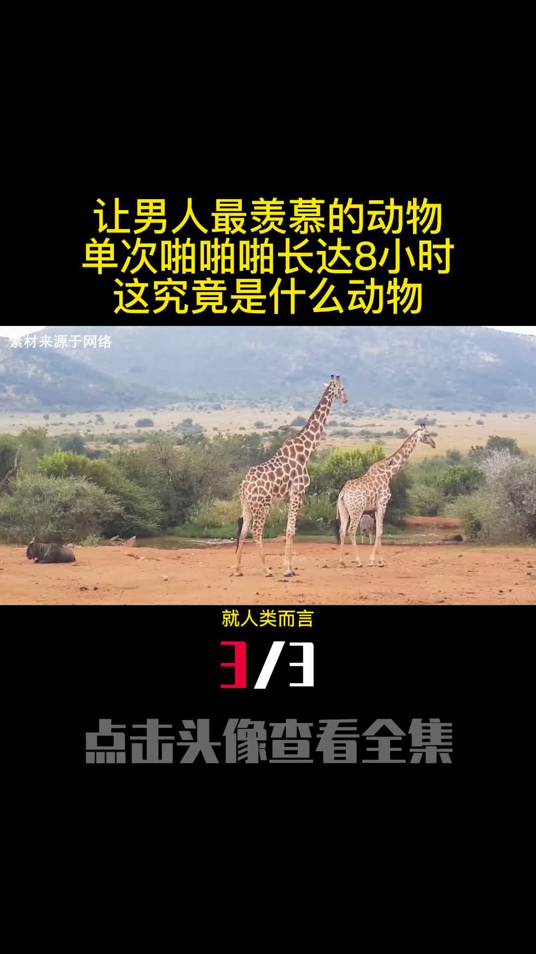 让男人最羡慕的动物单次啪啪啪长达8小时这究竟是什么动物3