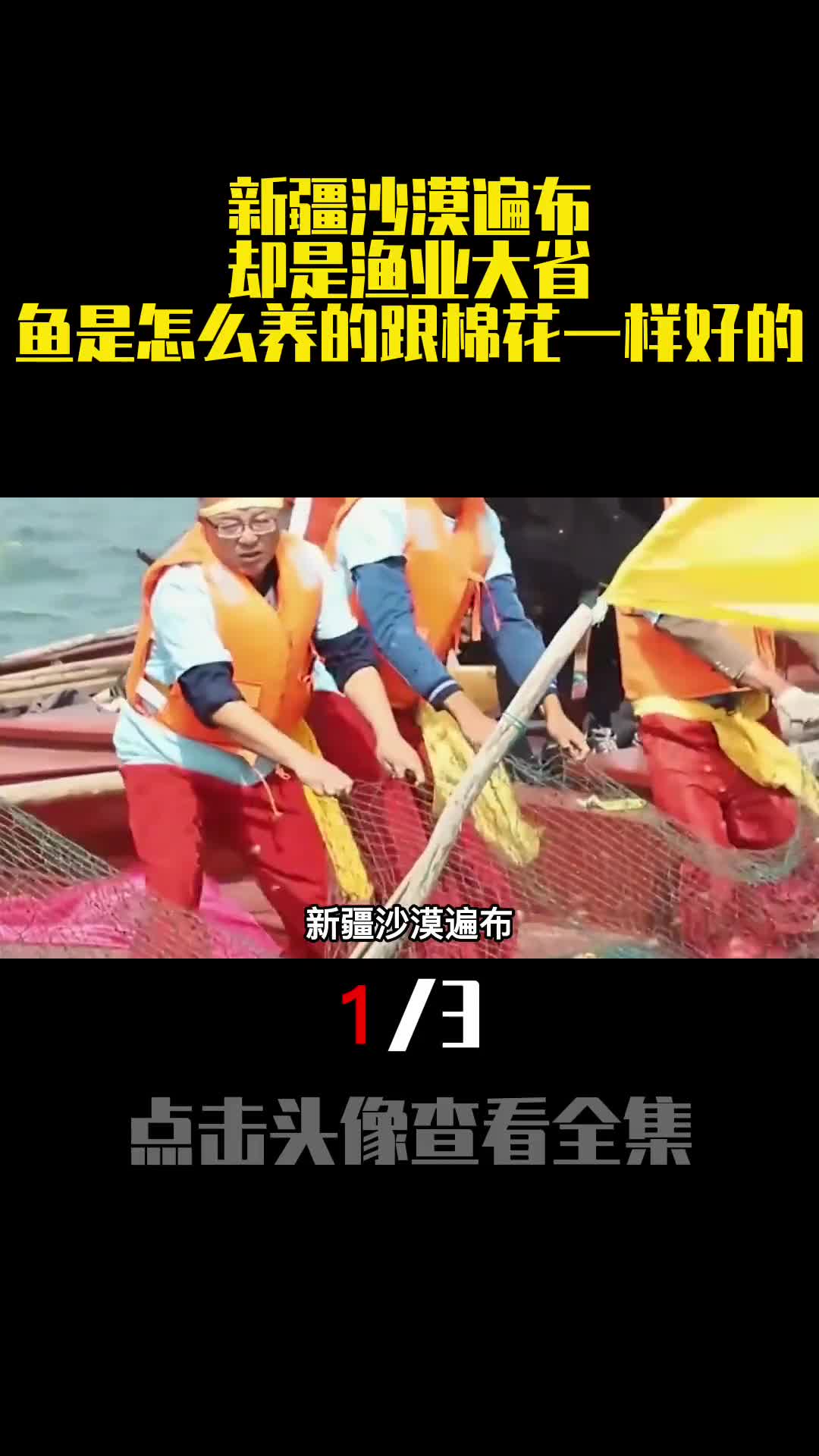 新疆沙漠遍布却是渔业大省鱼是怎么养的跟棉花一样好的1