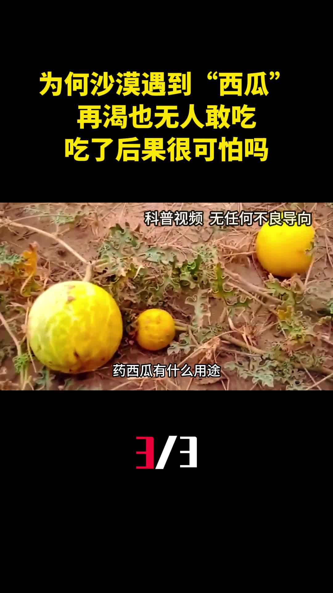 为何沙漠里遇到西瓜再渴也无人敢吃吃了后果很可怕吗3