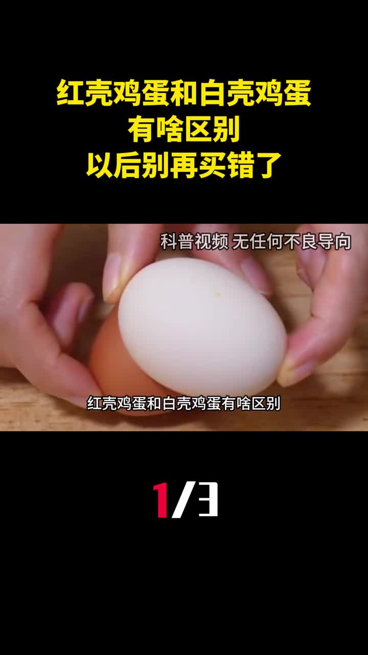 红壳鸡蛋和白壳鸡蛋有啥区别养殖户说漏嘴以后别再买错了1