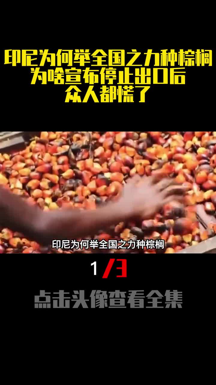 印尼为何举全国之力种棕榈为啥宣布停止出口后众人都慌了1