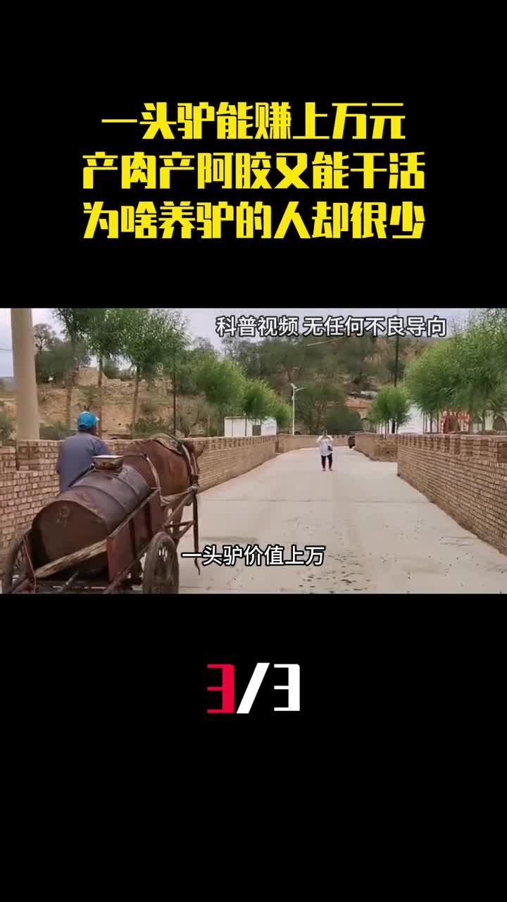 一头驴能赚上万元又能干活为啥养驴的人却很少3