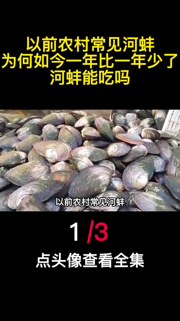 以前农村常见河蚌为何如今一年比一年少了河蚌能吃吗1