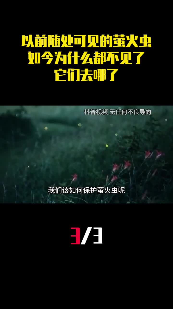 以前随处可见的萤火虫如今为什么都不见了它们去哪了3