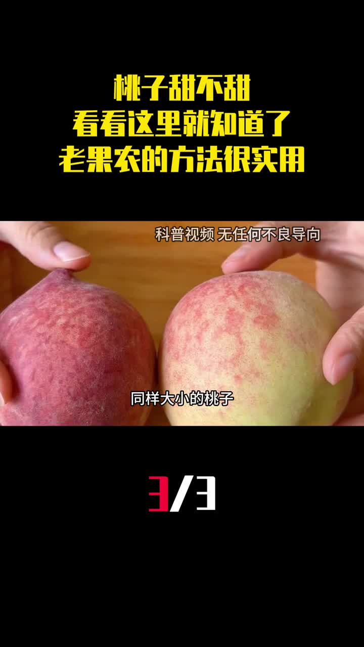 桃子甜不甜看看这里就知道了老果农的方法一挑一个准3