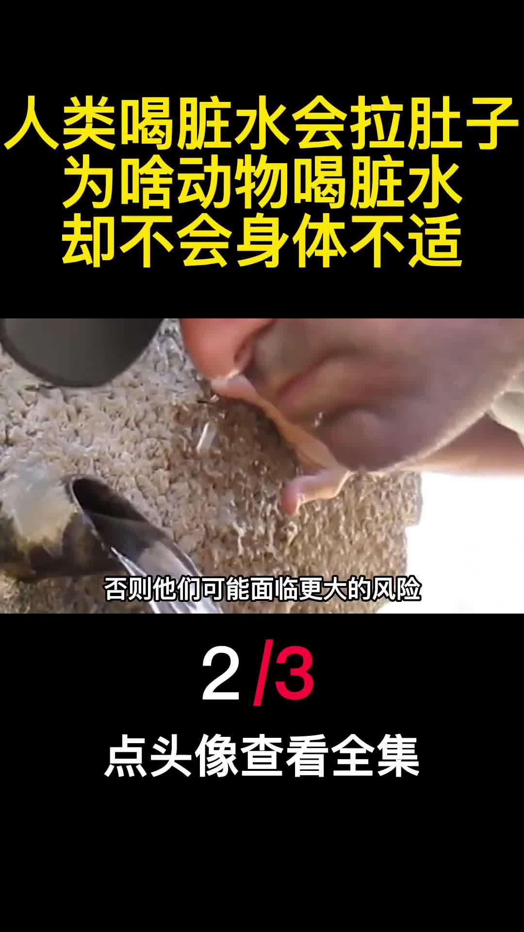 人类喝脏水会拉肚子为啥动物喝脏水却不会身体不适2