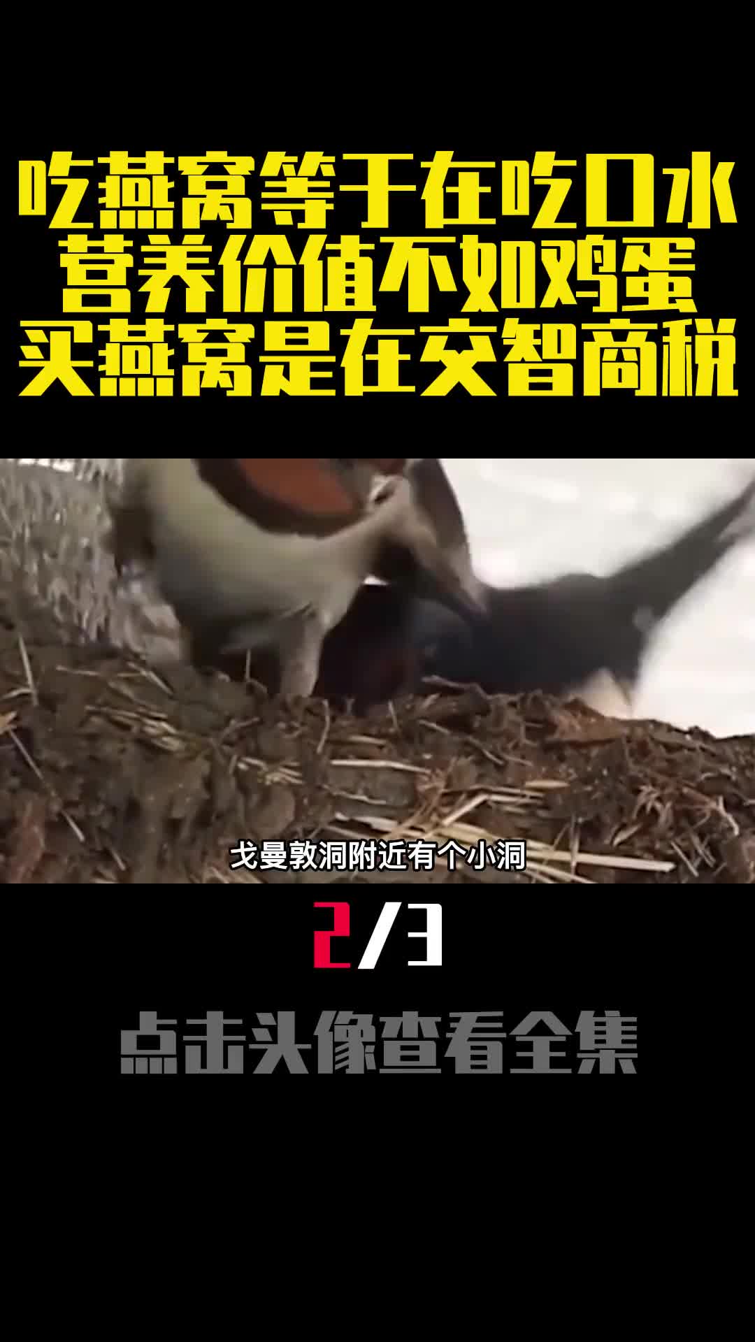 吃燕窝等于在吃口水营养价值不如鸡蛋买燕窝是在交智商税2