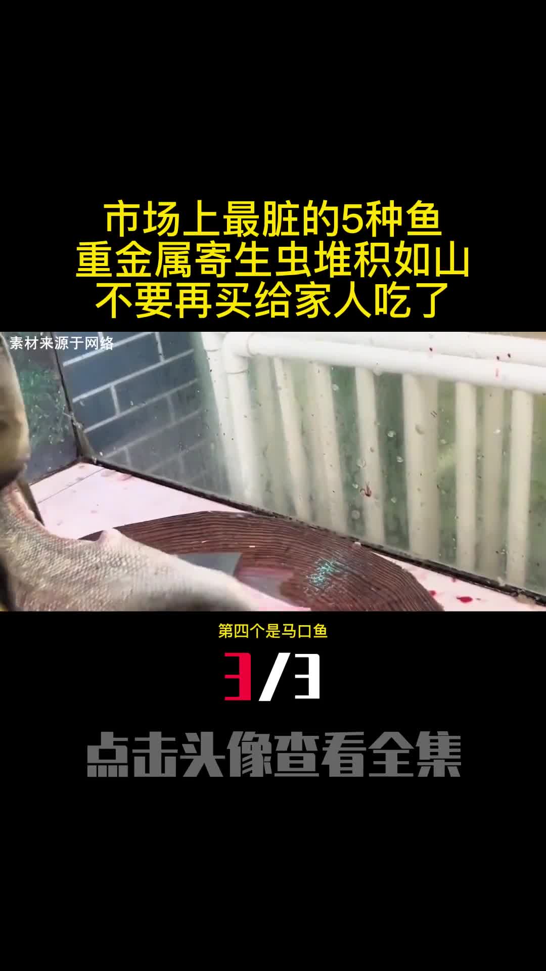 市场上最脏的5种鱼重金属寄生虫堆积如山不要再买给家人吃了3