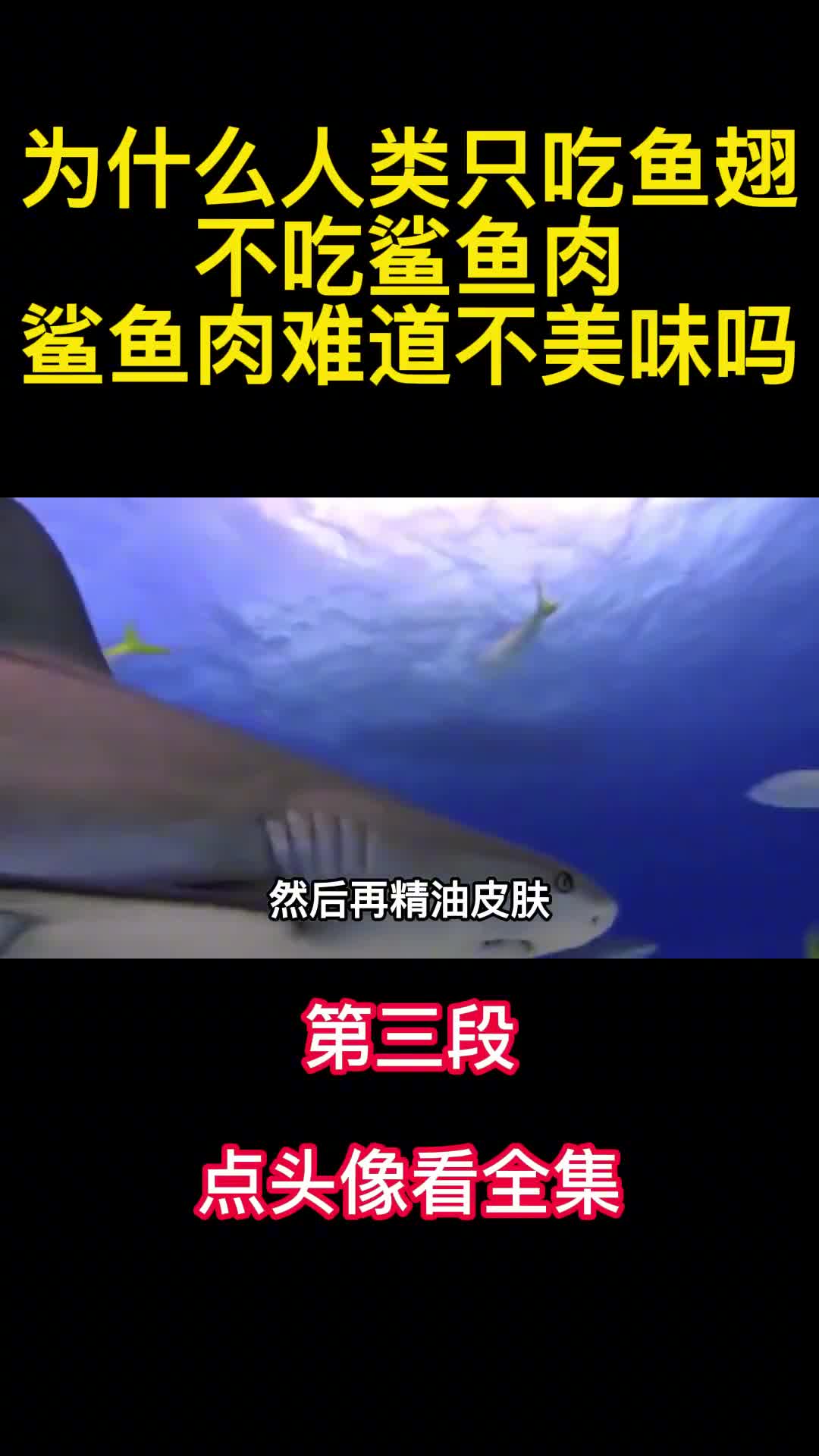 为什么人类只吃鱼翅不吃鲨鱼肉鲨鱼肉难道不美味吗3