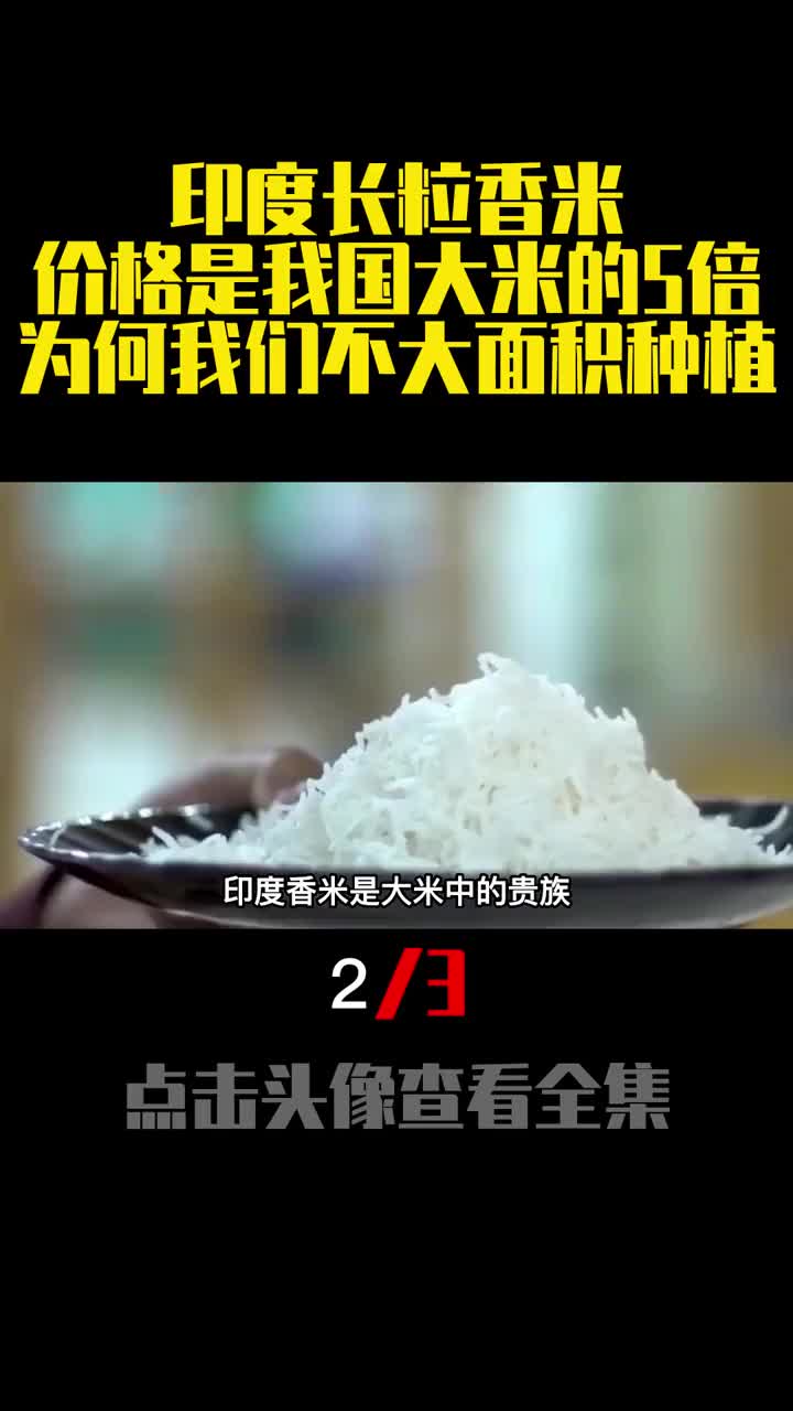印度长粒香米价格是我国大米的5倍为何我们不大面积种植2