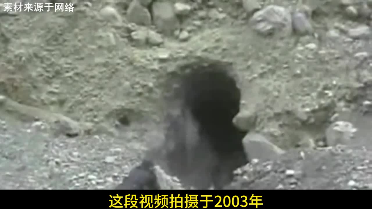 2003年真实影像新疆警方打击非法淘金淘金者持枪与警方火拼