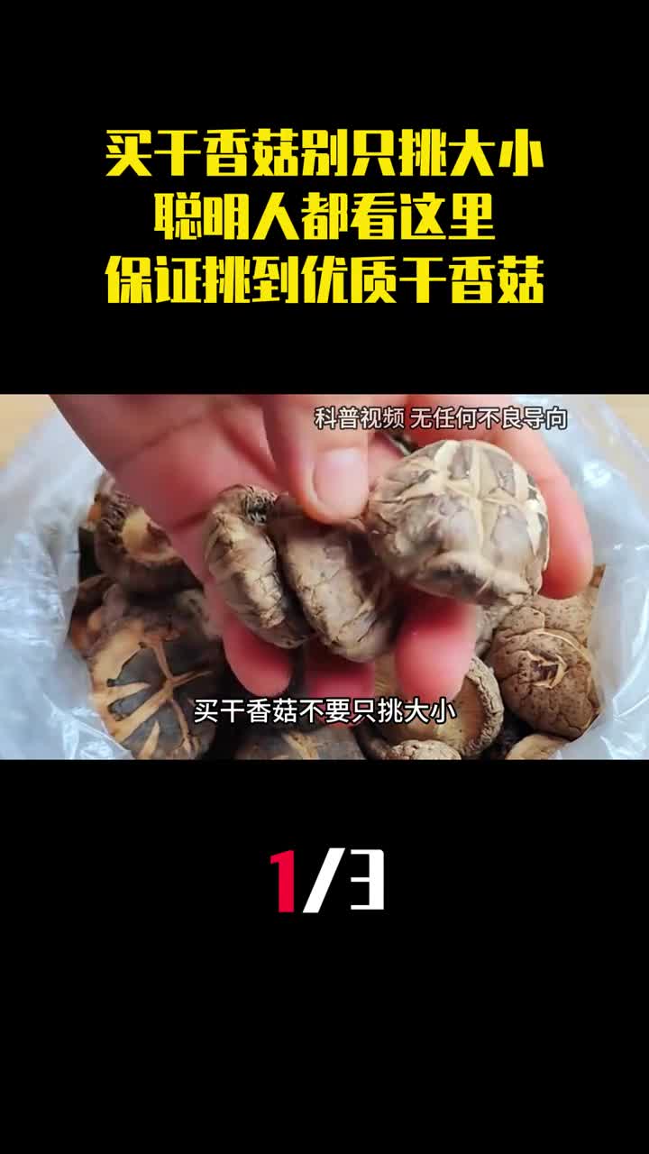 买干香菇不要只挑大小聪明人都看这里保证能挑到优质的干香菇1