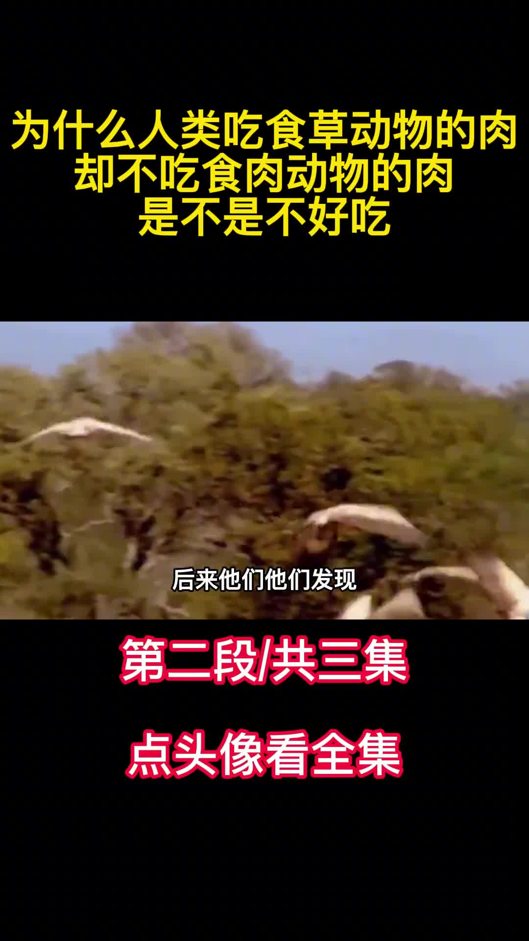 为什么人类吃食草动物的肉却不吃食肉动物的肉是不是不好吃2