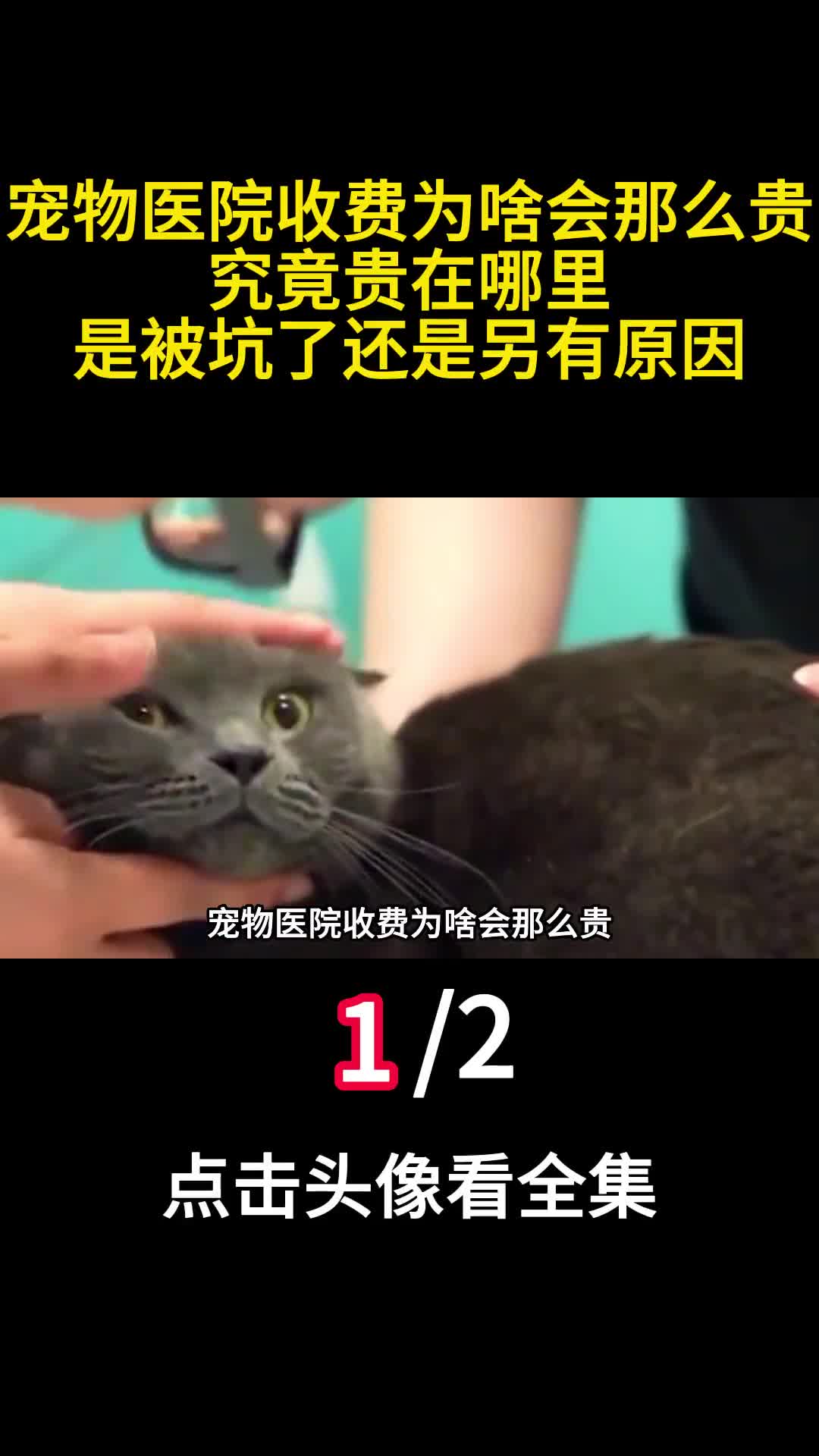 宠物医院收费为啥会那么贵究竟贵在哪里是被坑了还是另有原因1