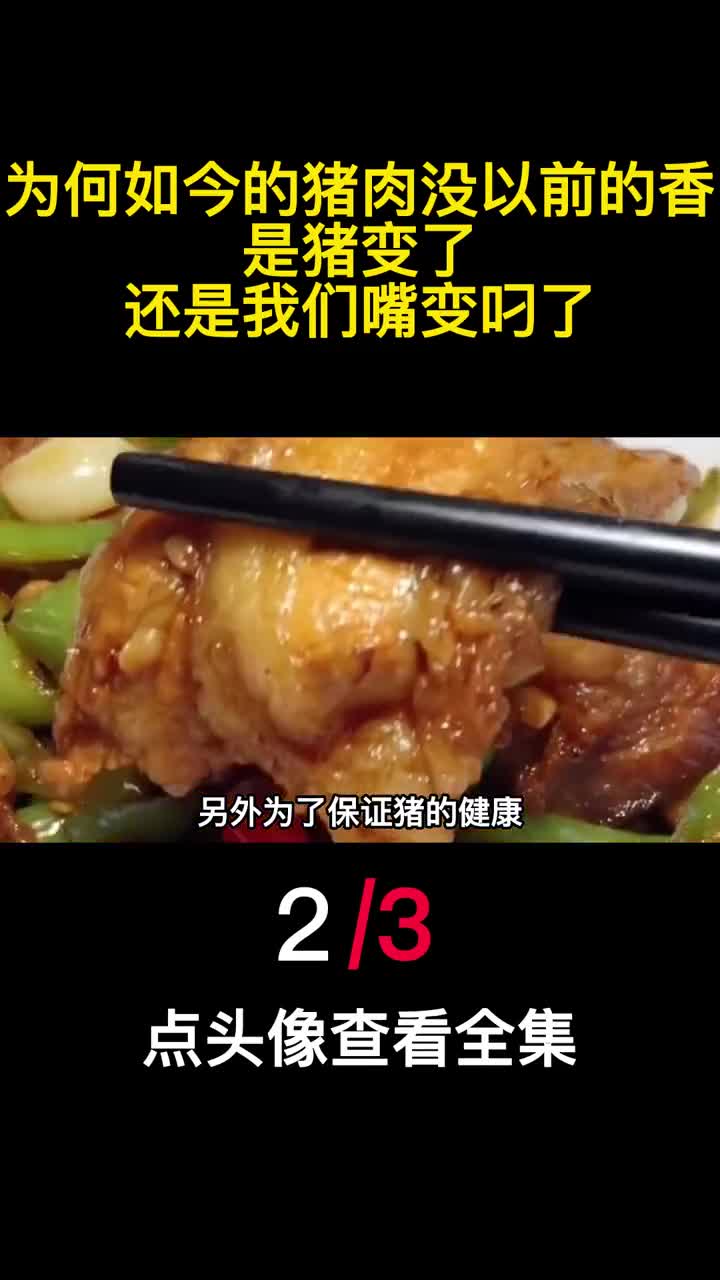 为何如今的猪肉没以前的香是猪变了还是我们嘴变叼了2