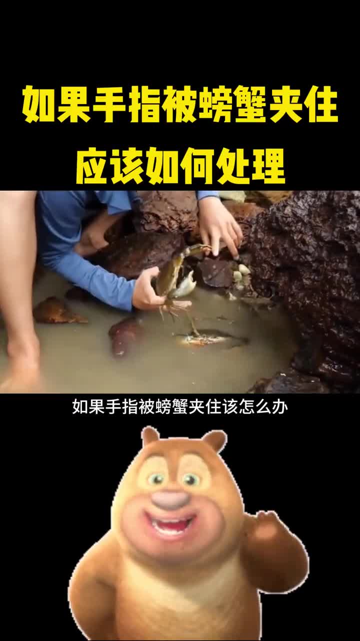 如果手指被螃蟹夹住应该怎么办