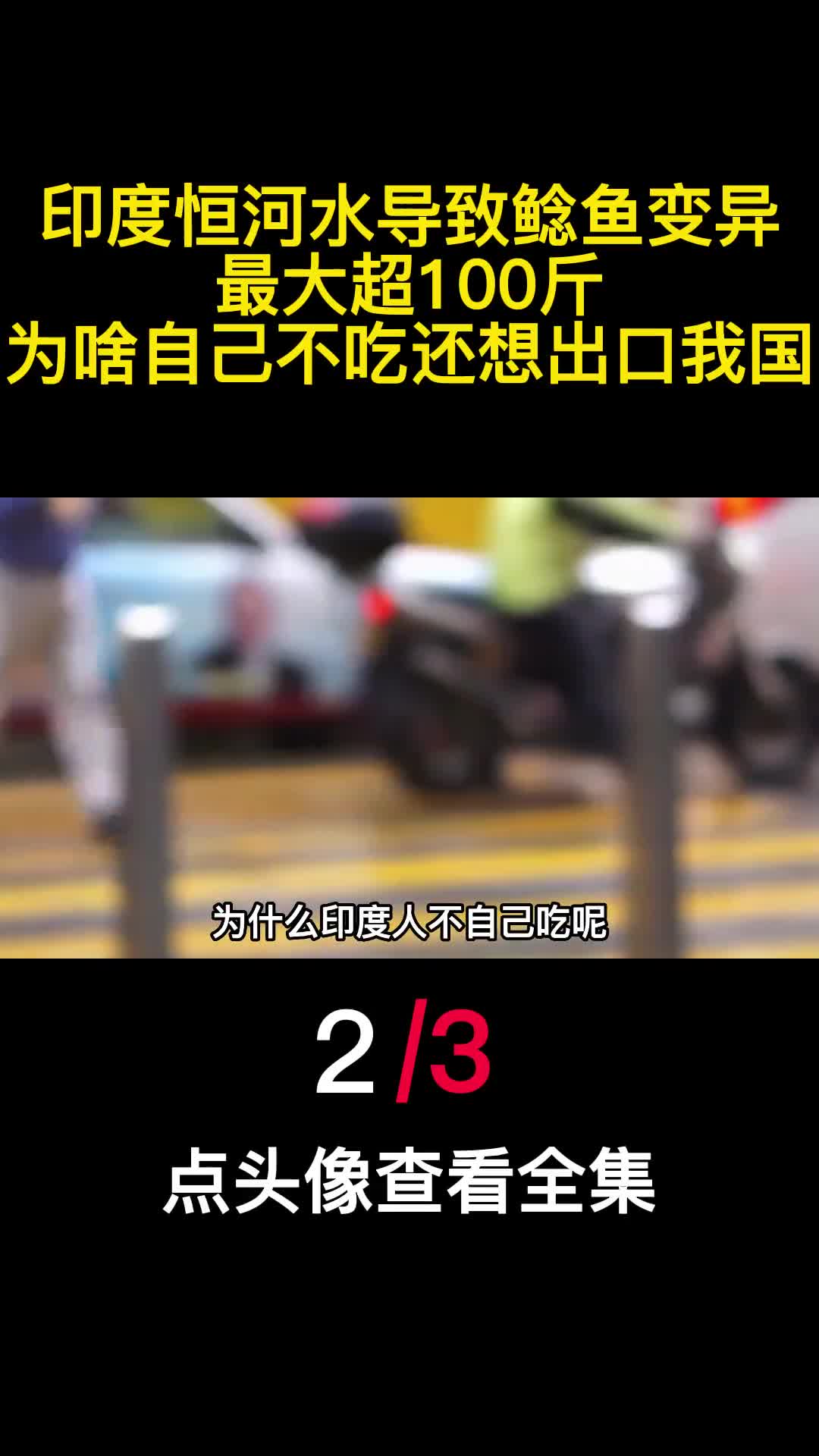 印度恒河水导致鲶鱼变异最大超100斤为啥自己不吃还出口我国2