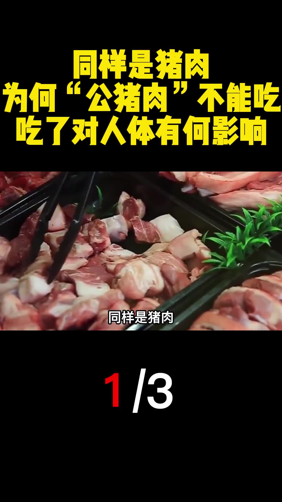 同样是猪肉为何公猪肉不能吃吃了对人体有何影响1